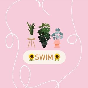 🌻✨🌻✨🌻✨🌻✨🌻✨🌻✨🌻✨